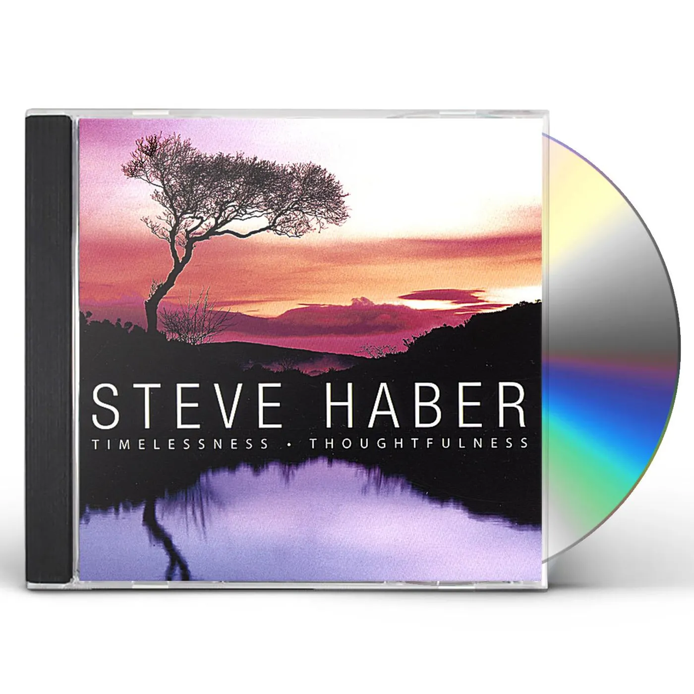Steve Haber TIMELESSNESS THOUGHFULNESS CD