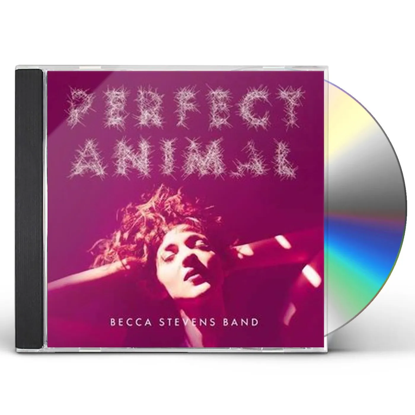 Becca Stevens PERFECT ANIMAL CD