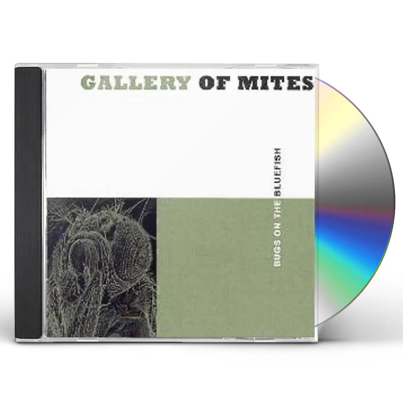 Gallery of Mites BUGS ON THE BLUEFISH CD