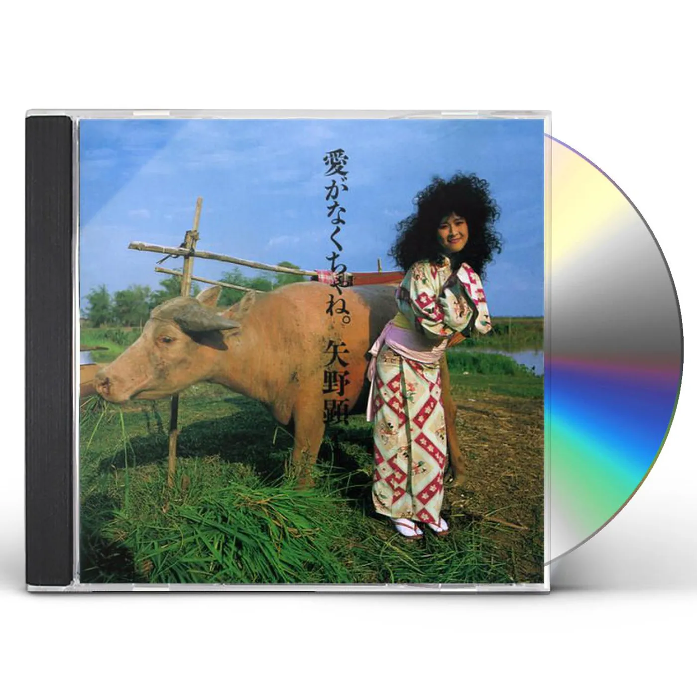Akiko Yano AI GA NAKUCHA NE CD