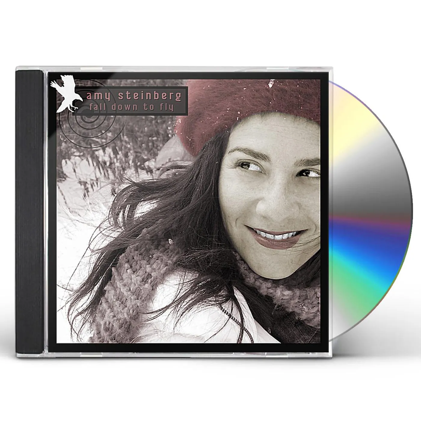 Amy Steinberg FALL DOWN TO FLY CD