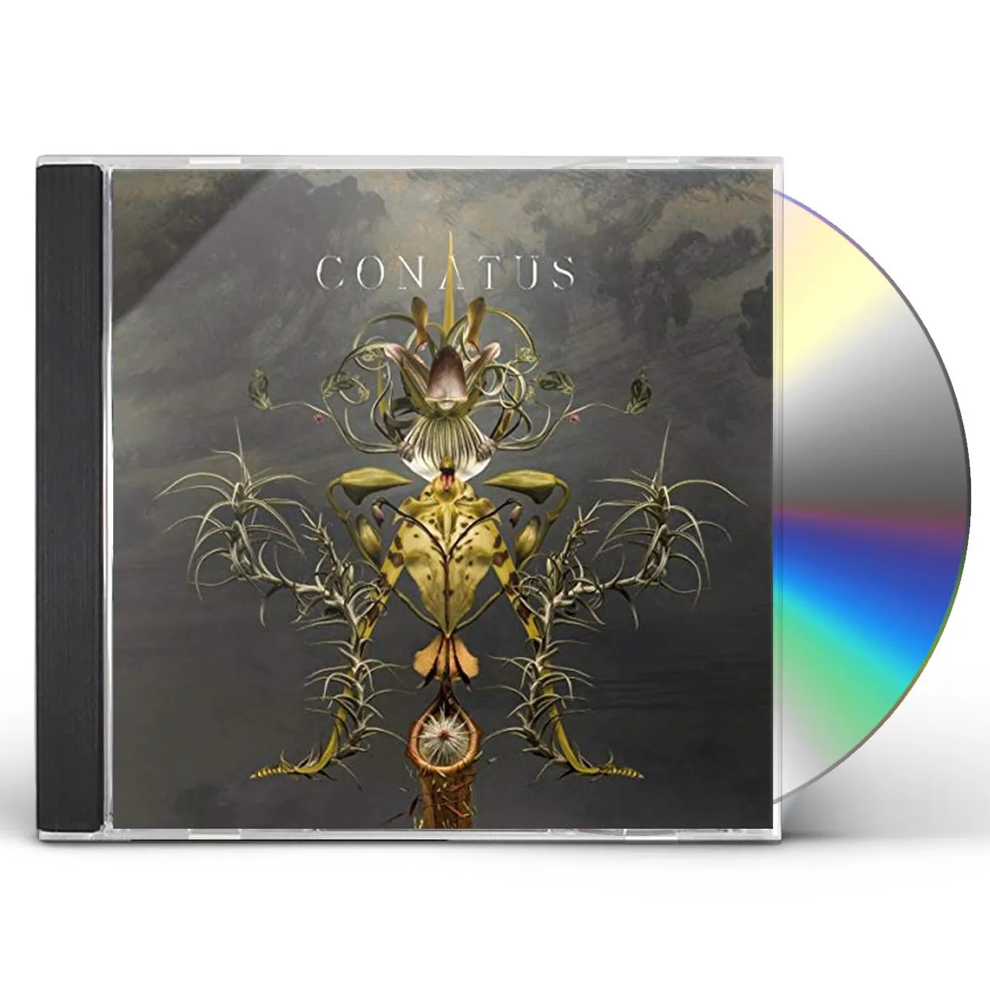 Joep Beving CONATUS CD
