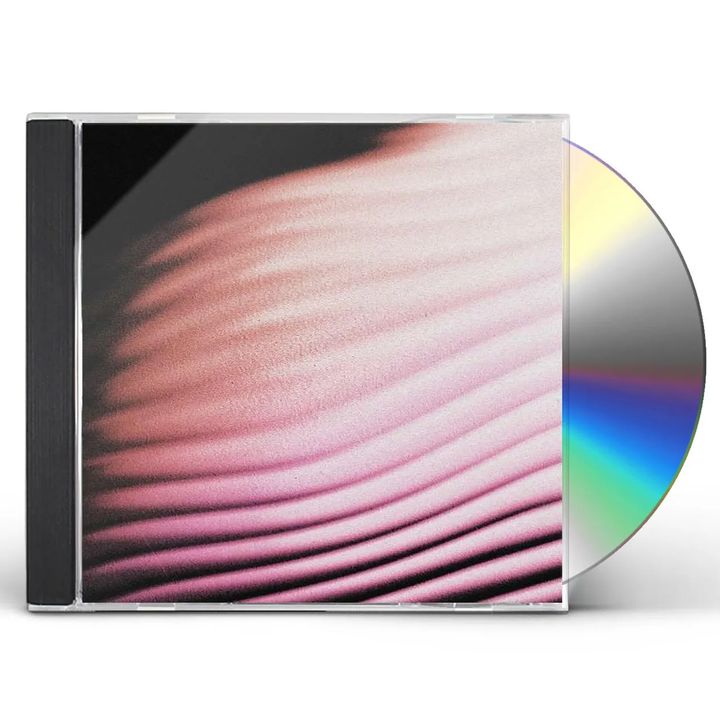 Polar EVERYTHING, EVERYWHERE CD