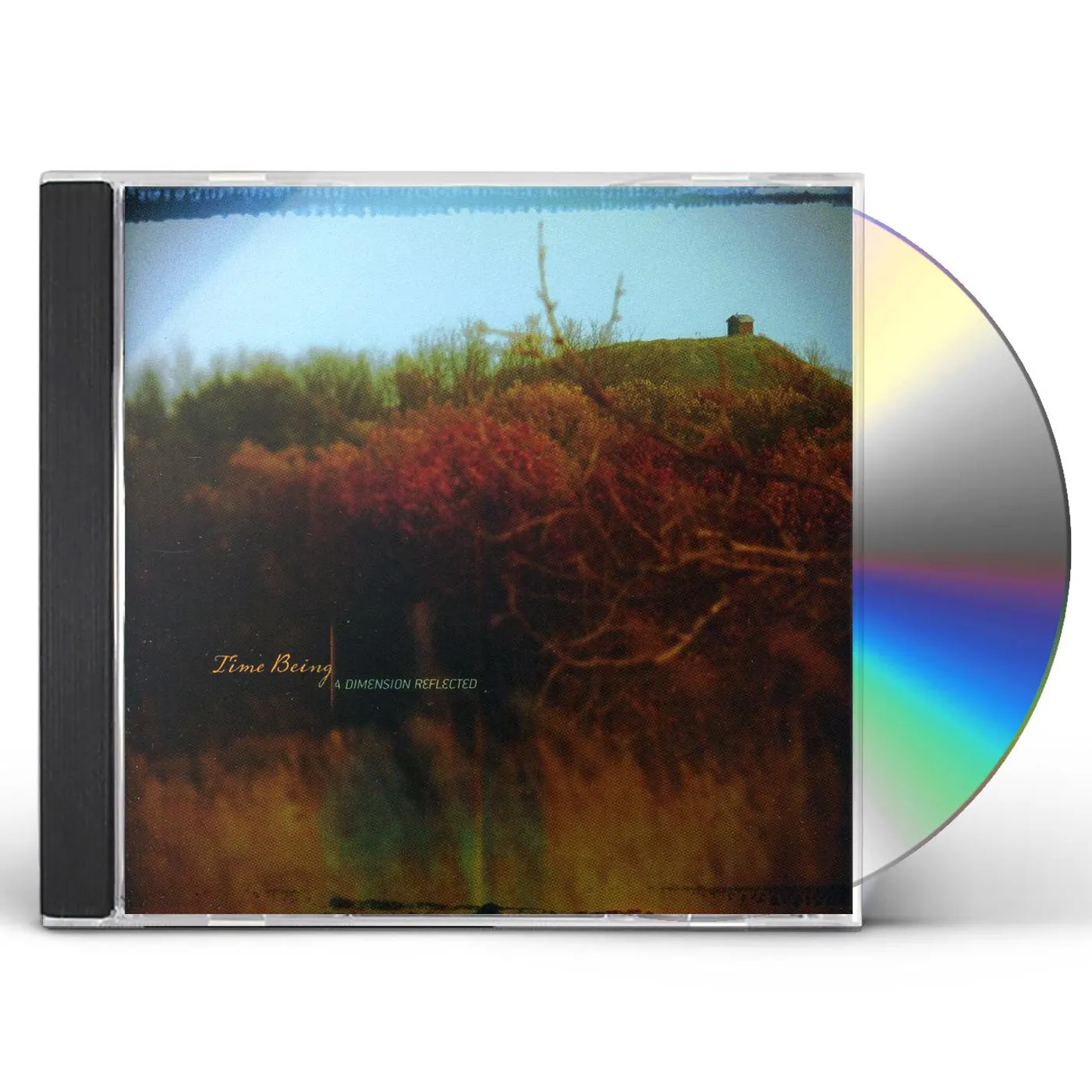 Time Being DIMENSION REFLECTED CD