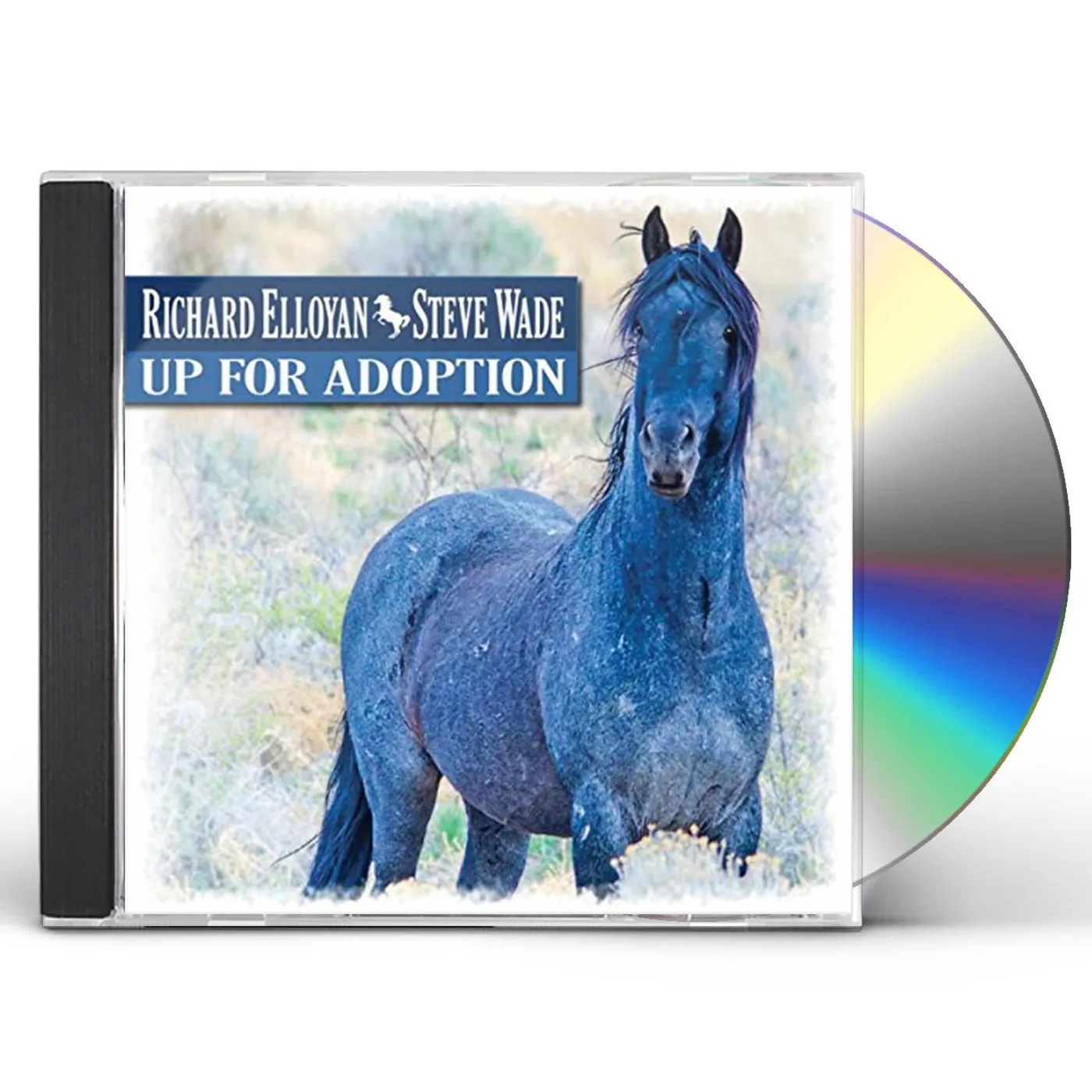 Richard Elloyan UP FOR ADOPTION CD