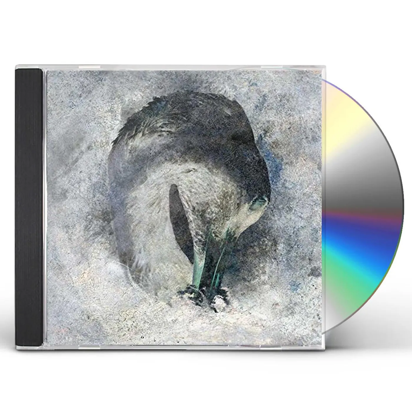 Suma ASHES CD