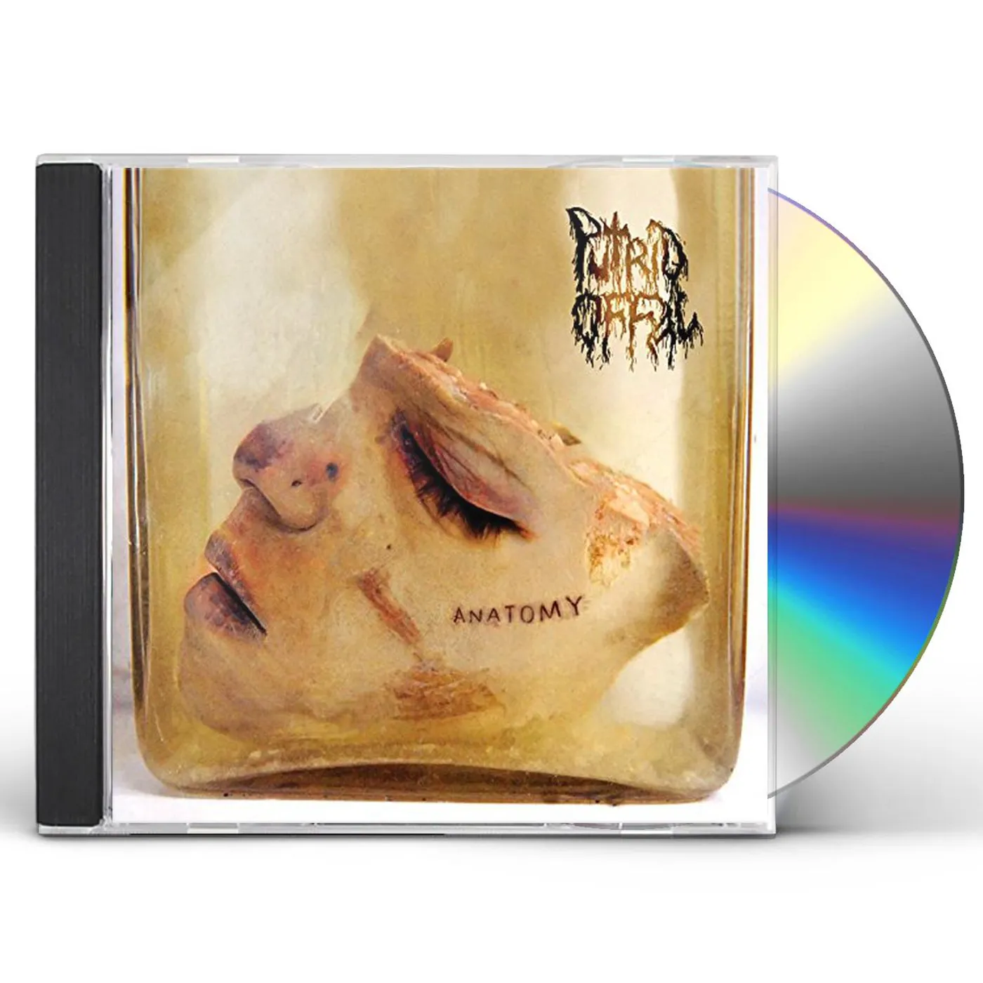 Putrid Offal ANATOMY CD