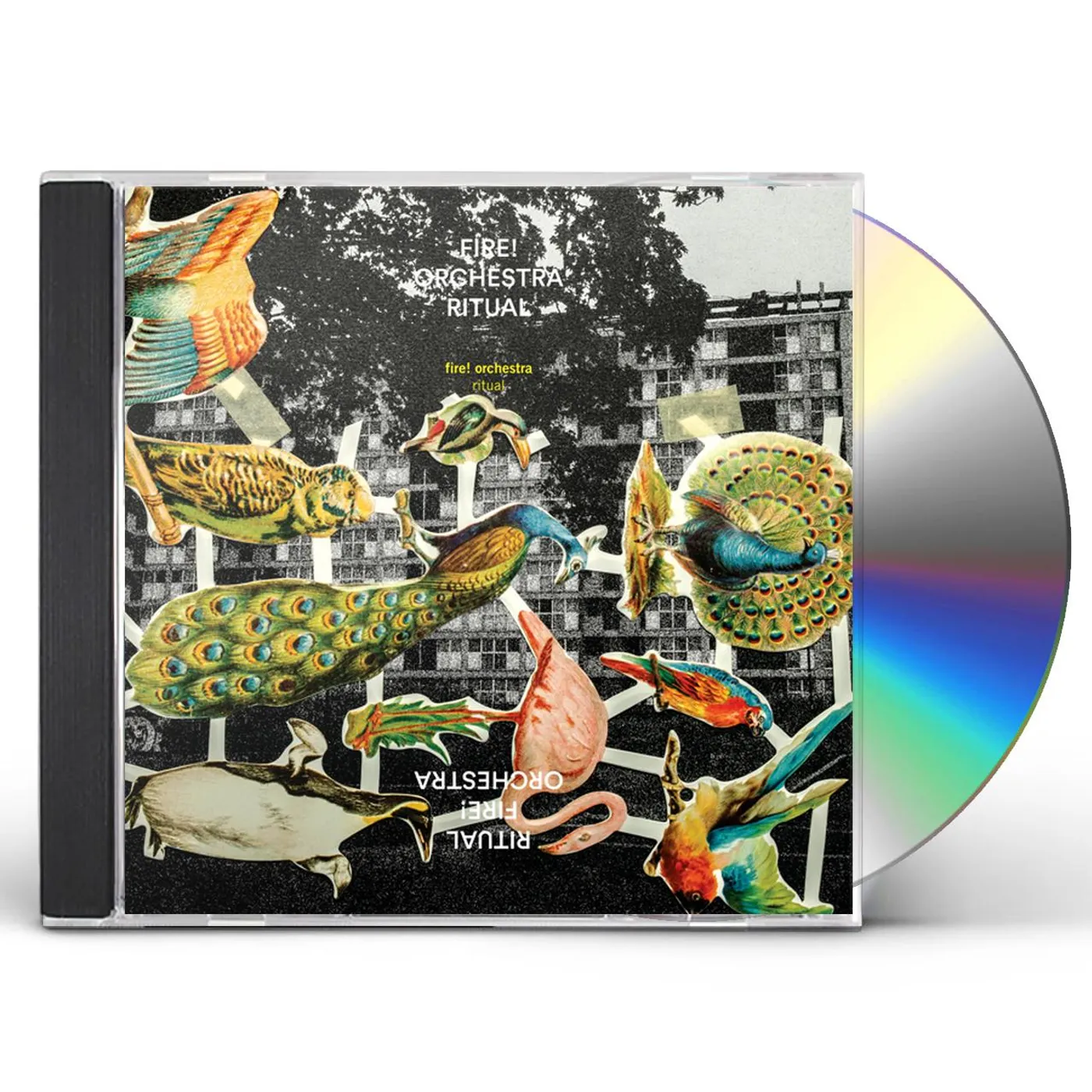 Fire! Orchestra RITUAL CD