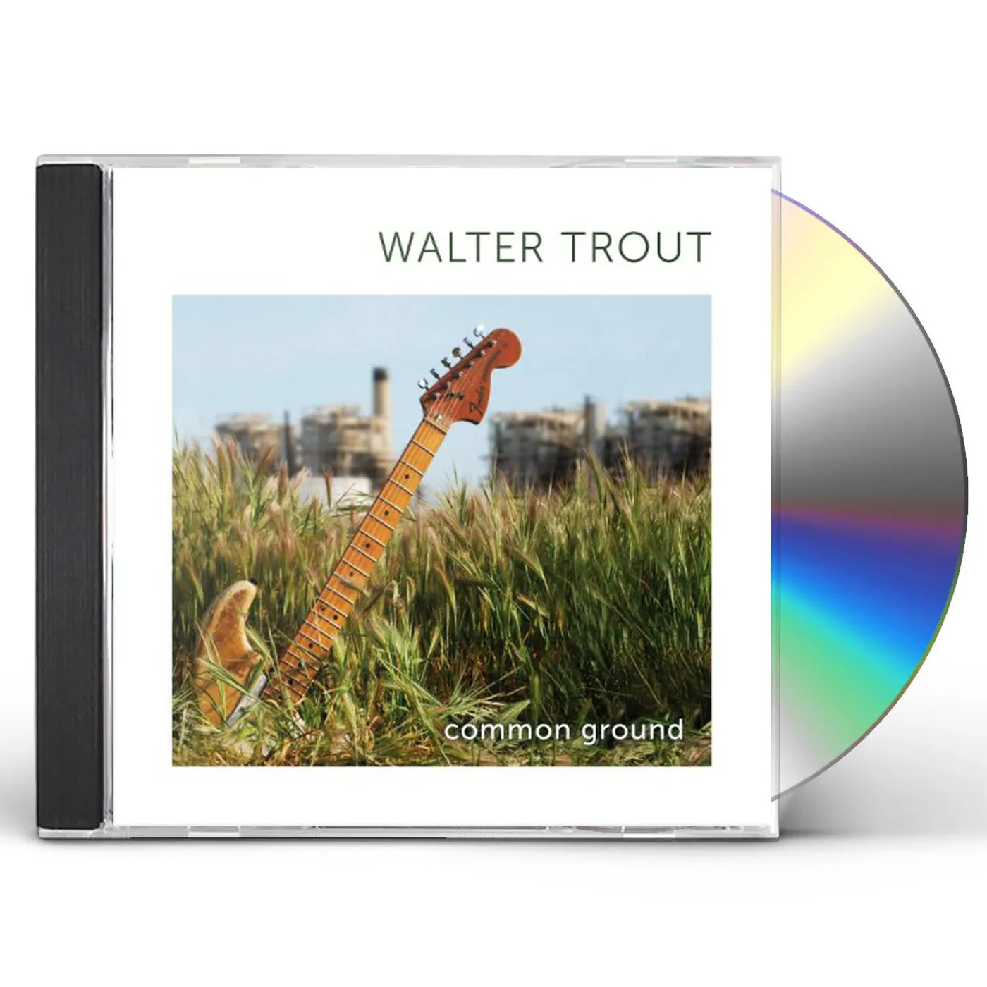 Walter Trout COMMON GROUND CD