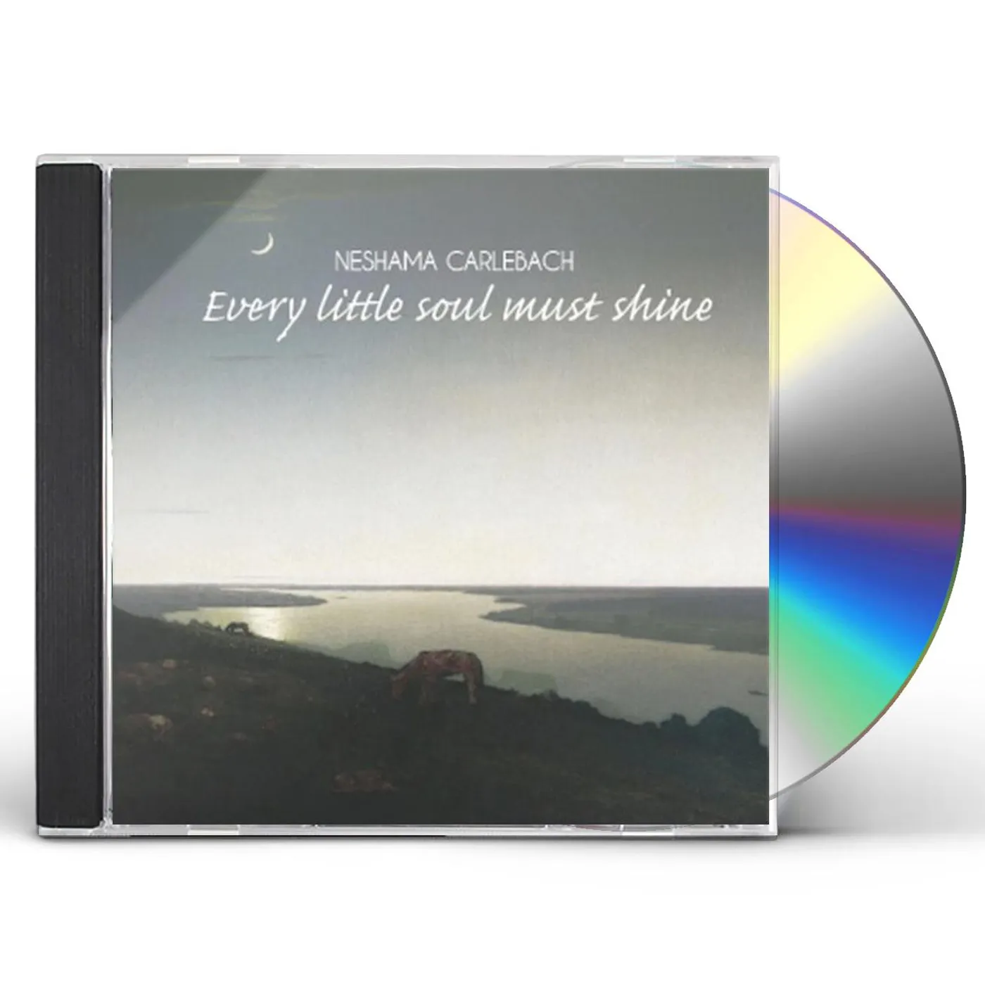 Neshama Carlebach EVERY LITTLE SOUL MUST SHINE CD