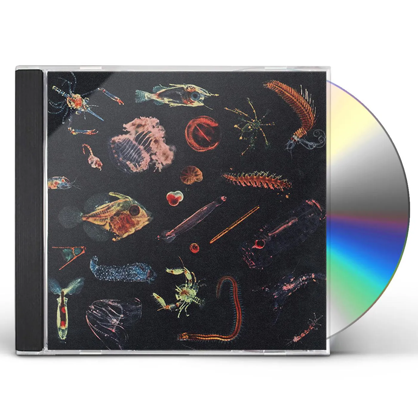 Alessandro Fiori PLANCTON CD
