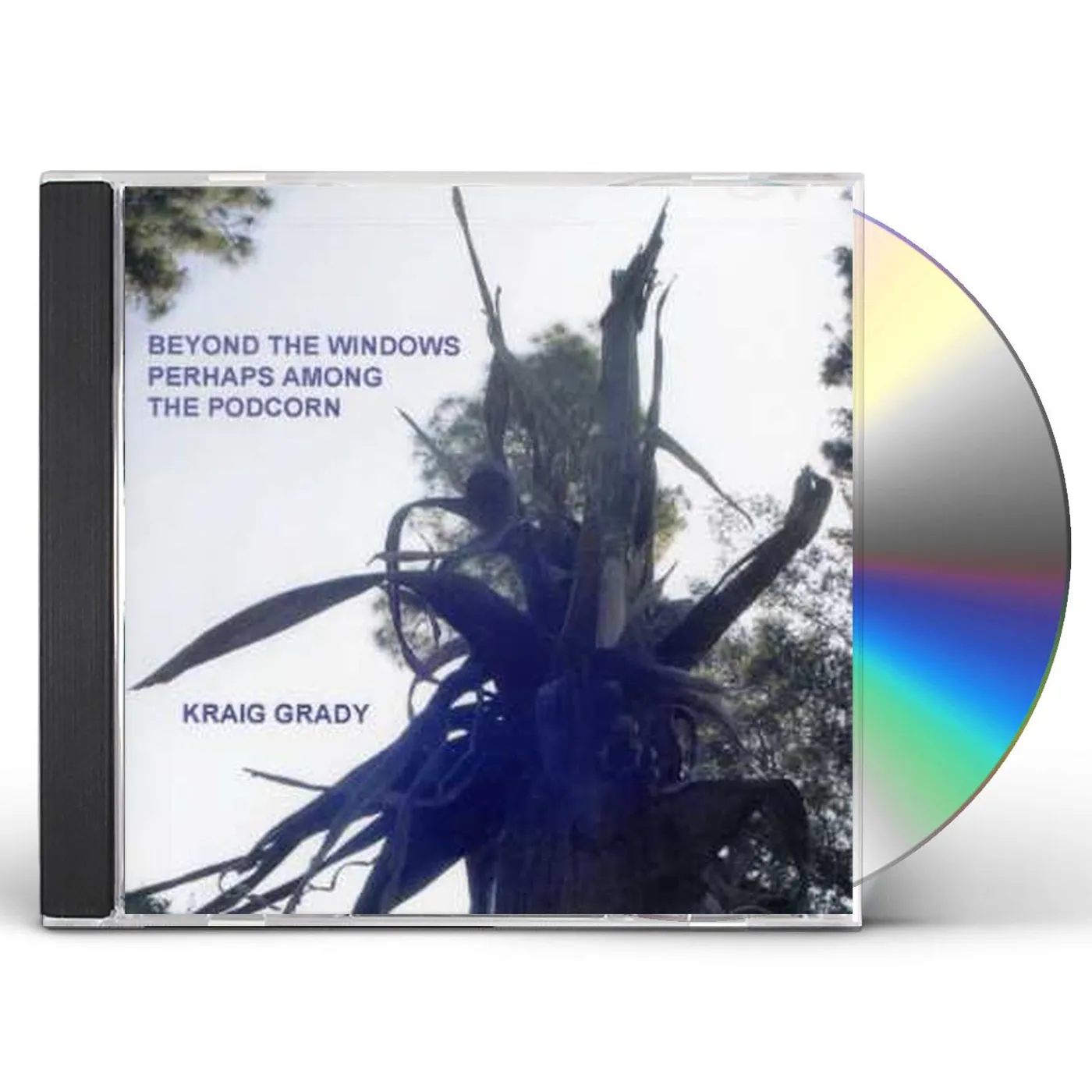Kraig Grady BEYOND THE WINDOWS PERHAPS AMONG TH CD