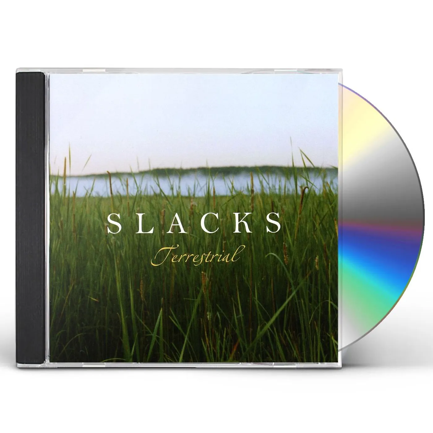 Slacks TERRESTRIAL CD