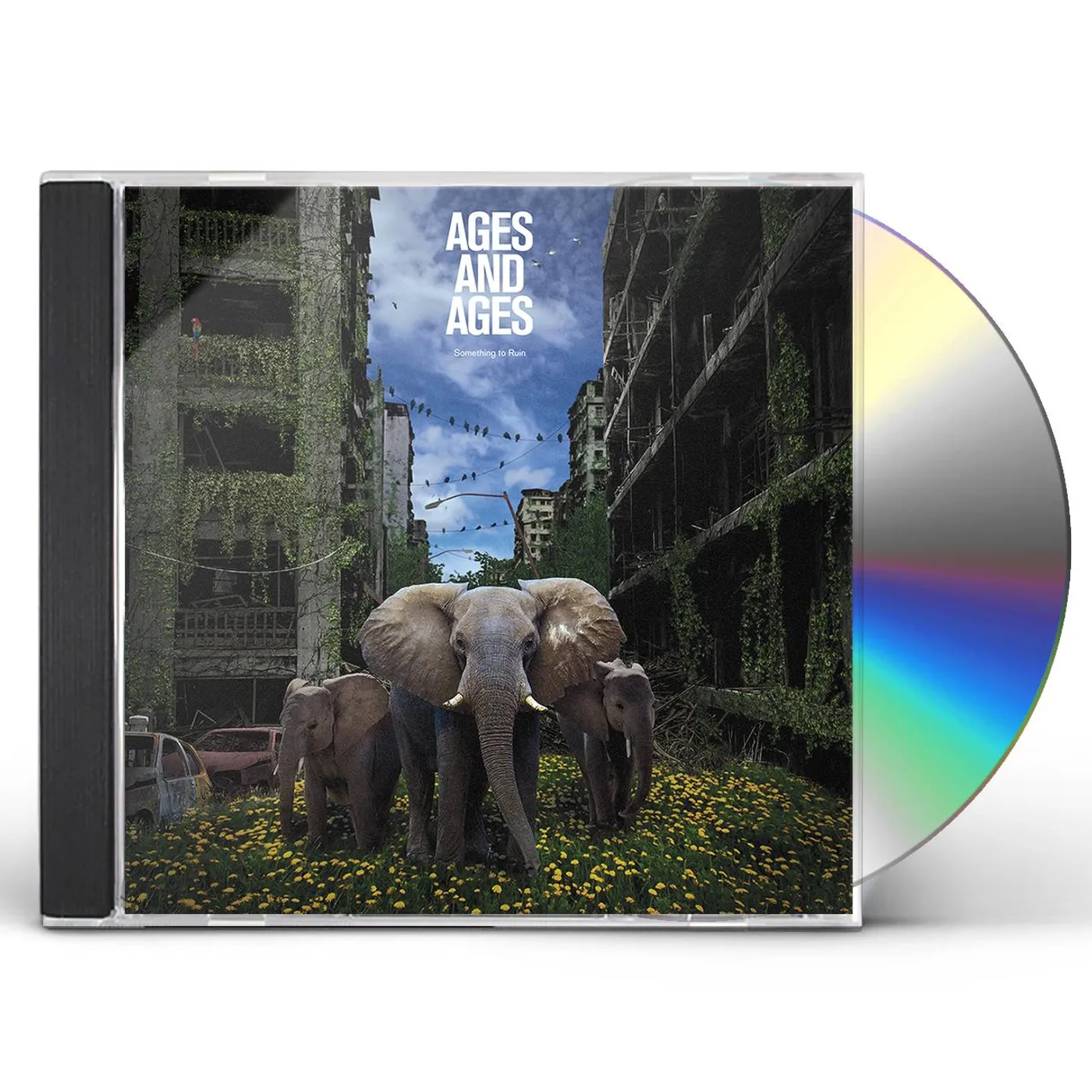 Ages and Ages SOMETHING TO RUIN CD