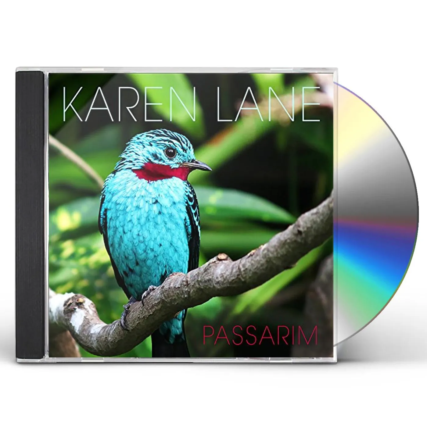 Karen Lane PASSARIM CD