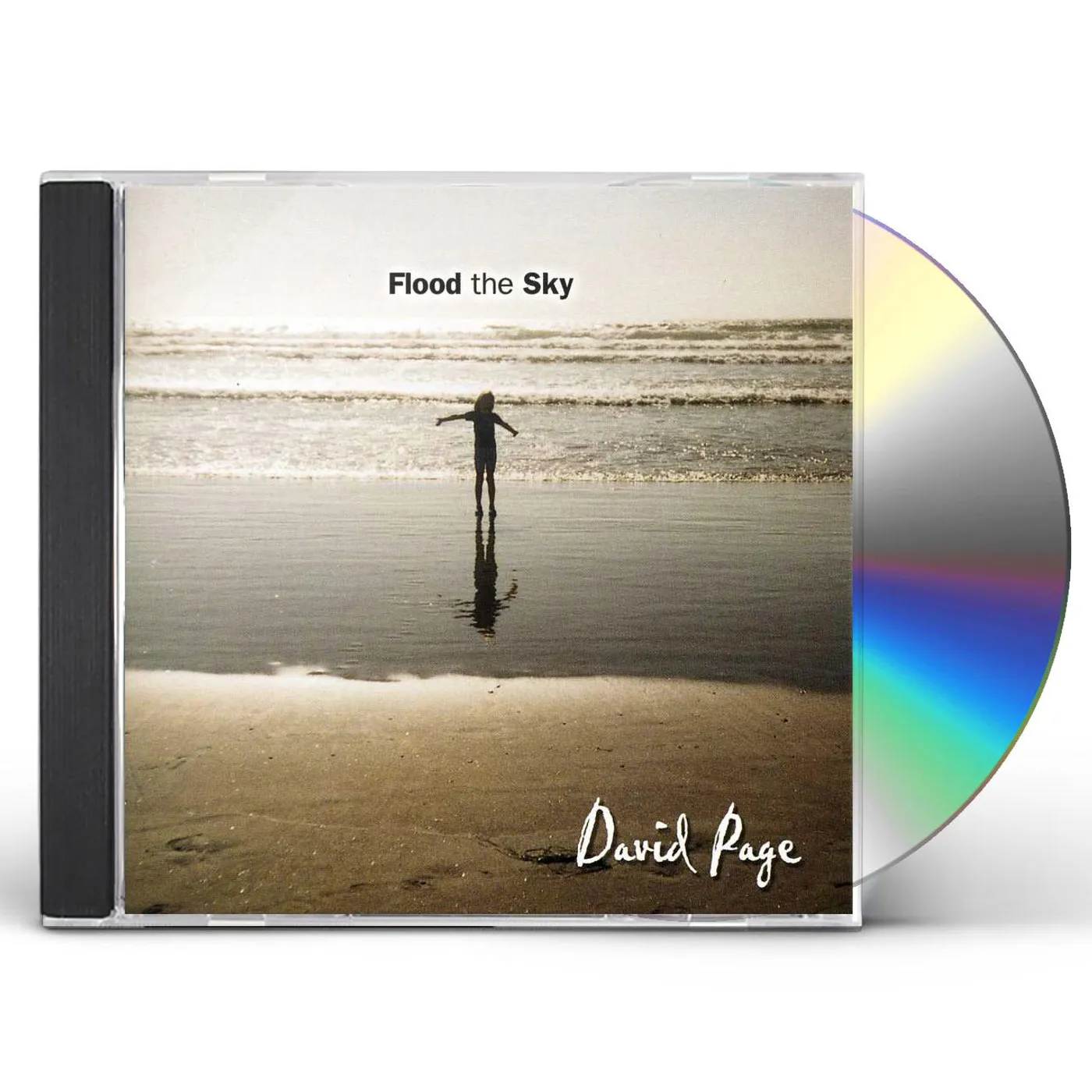 David Page FLOOD THE SKY CD