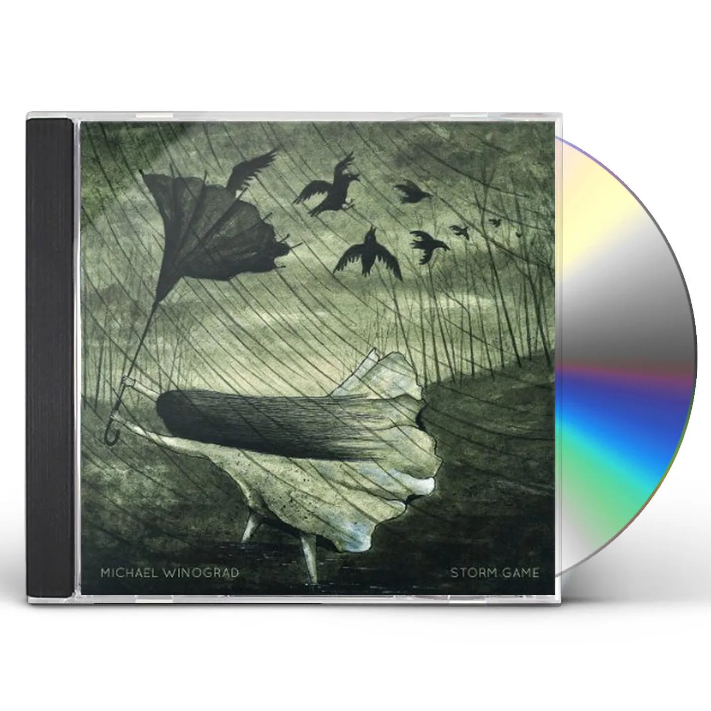 Michael Winograd STORM GAME CD