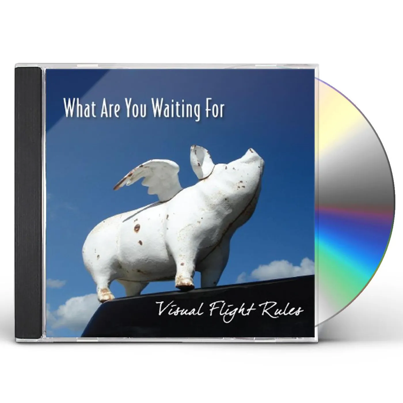 Visual Flight Rules WHAT ARE YOU WAITING FOR CD