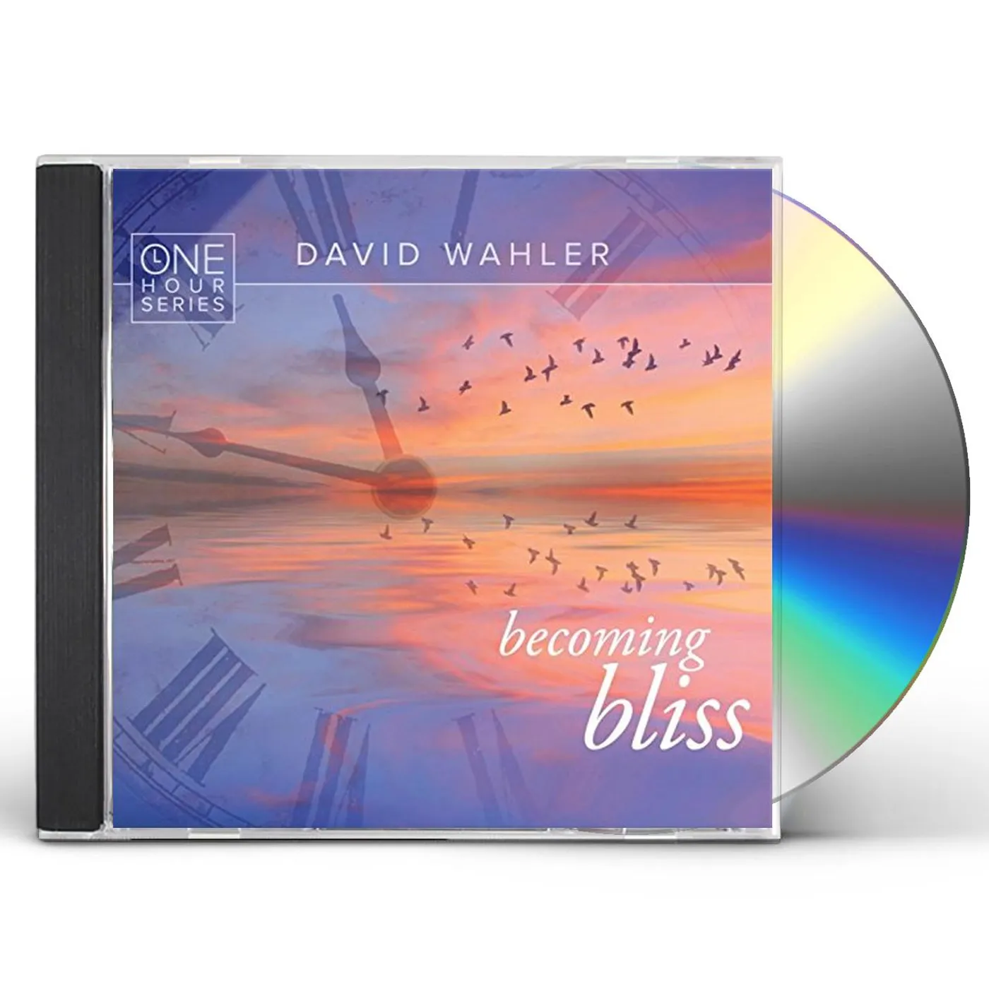 David Wahler BECOMING BLISS: ONE HOUR SERIES CD