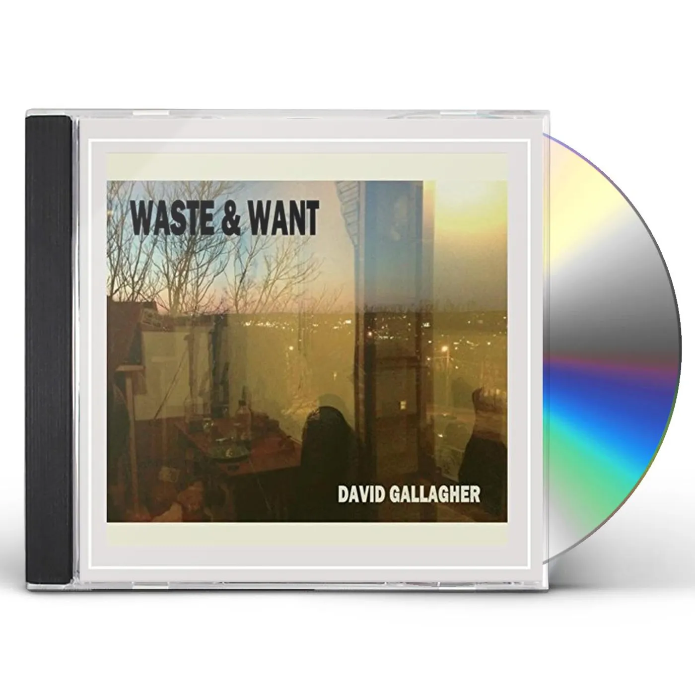 David Gallagher WASTE & WANT CD