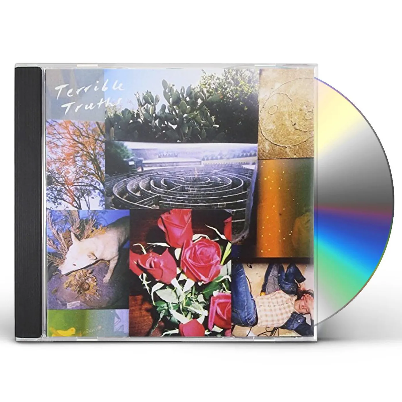 TERRIBLE TRUTHS CD