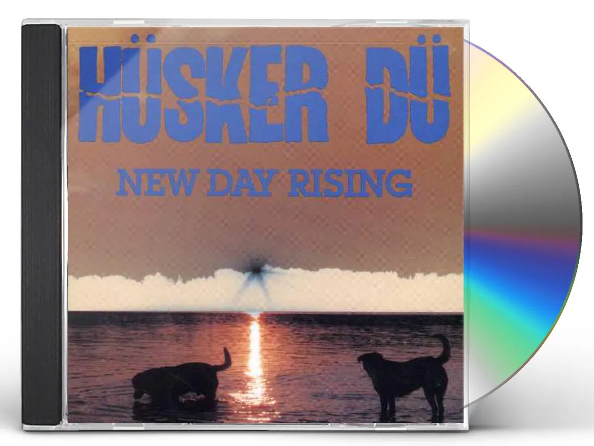 【LP】HÜSKER DÜ / NEW DAY RISING 250px-HuskerDuNewDayRising.jpg