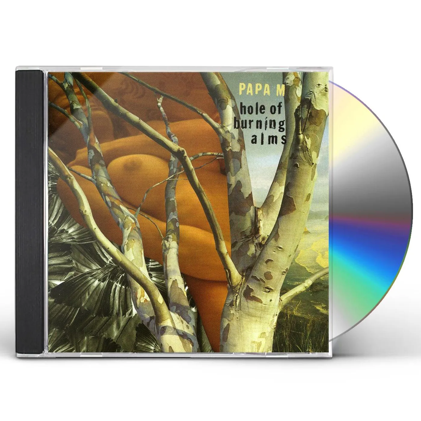 Papa M HOLE OF BURNING ALMS CD