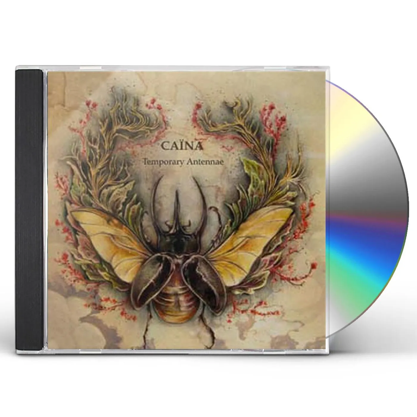 Caina TEMPORARY ANTENNAE CD
