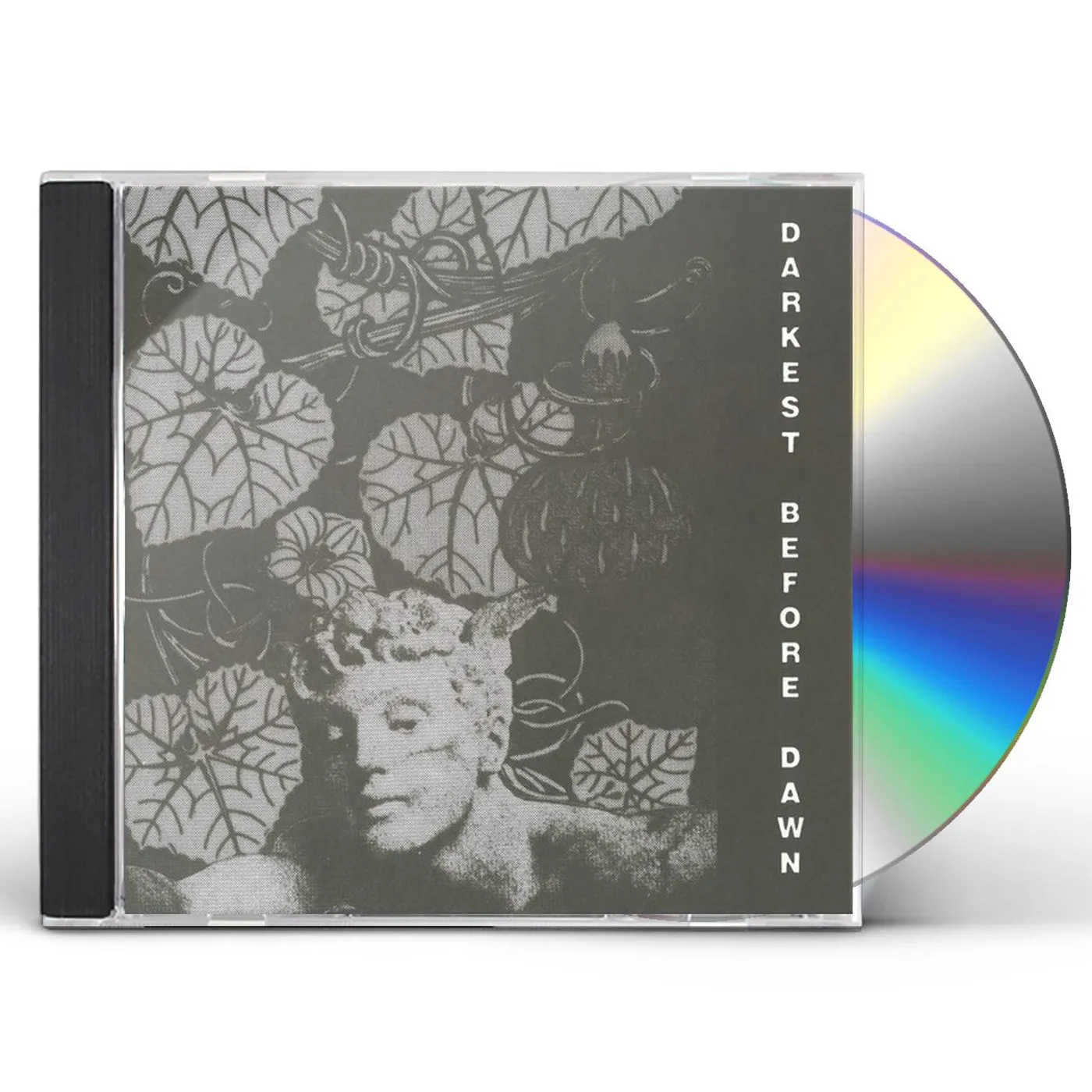 Dark Day DARKEST BEFORE DAWN CD