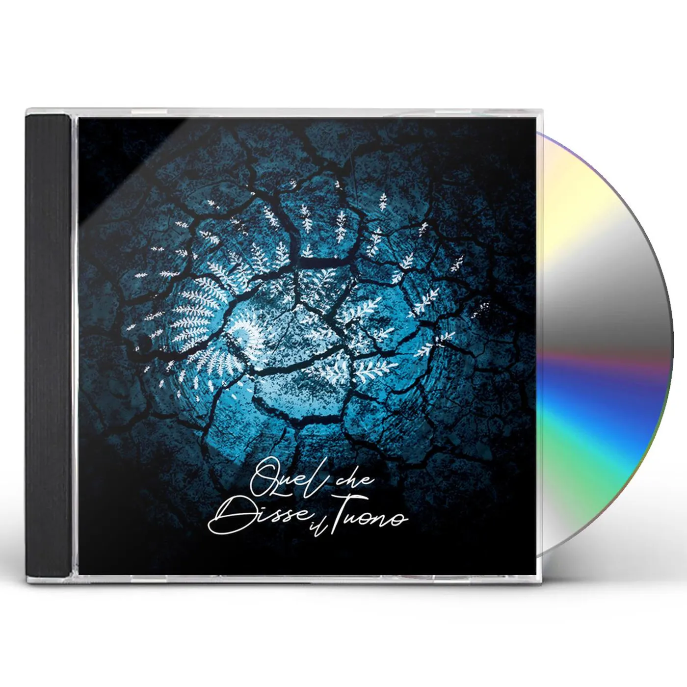 Quel Che Disse Il Tuono IL VELO DEI RIFLESSI CD
