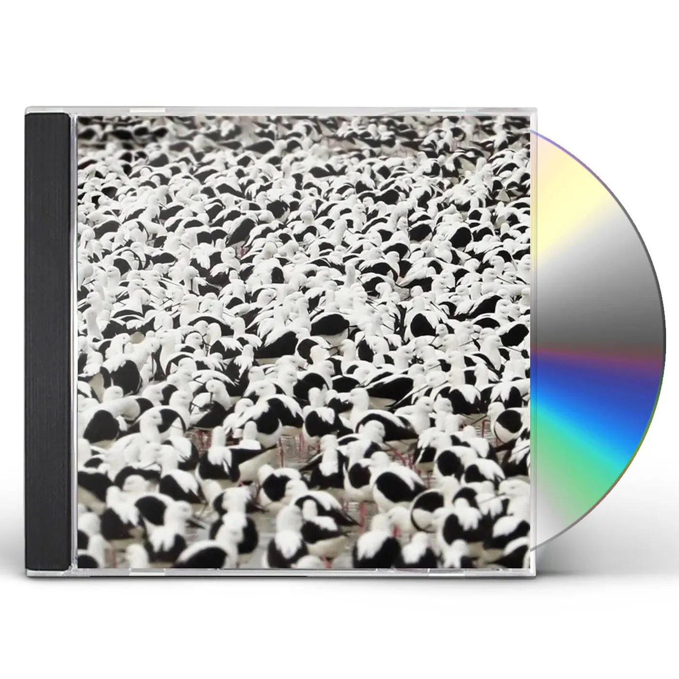 Stella Donnelly FLOOD CD