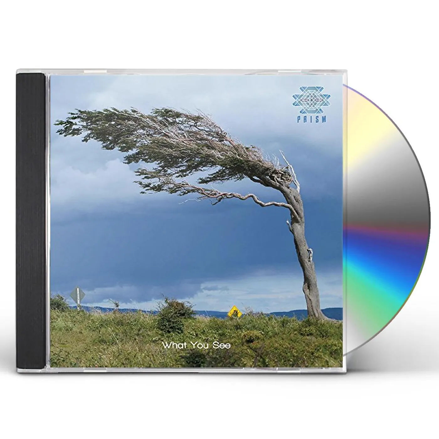 Prism WHAT YOU SEE CD