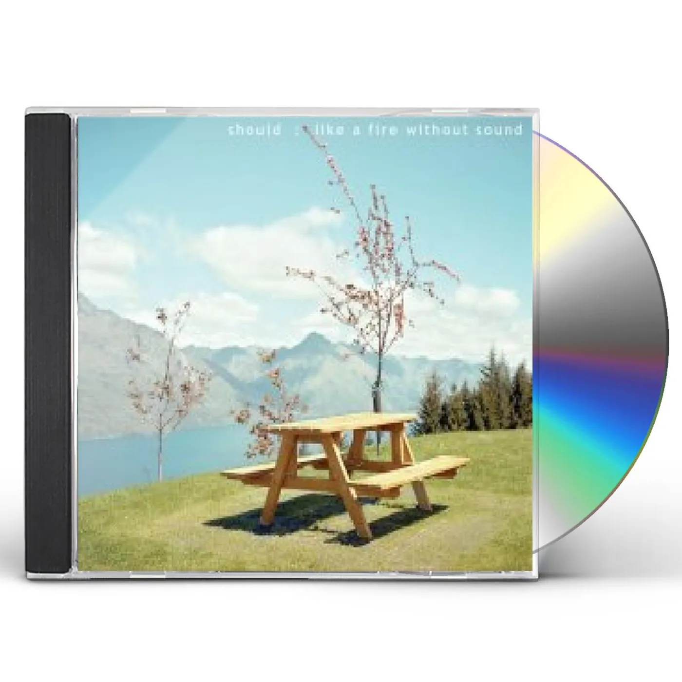 Should LIKE A FIRE WITHOUT SOUND CD