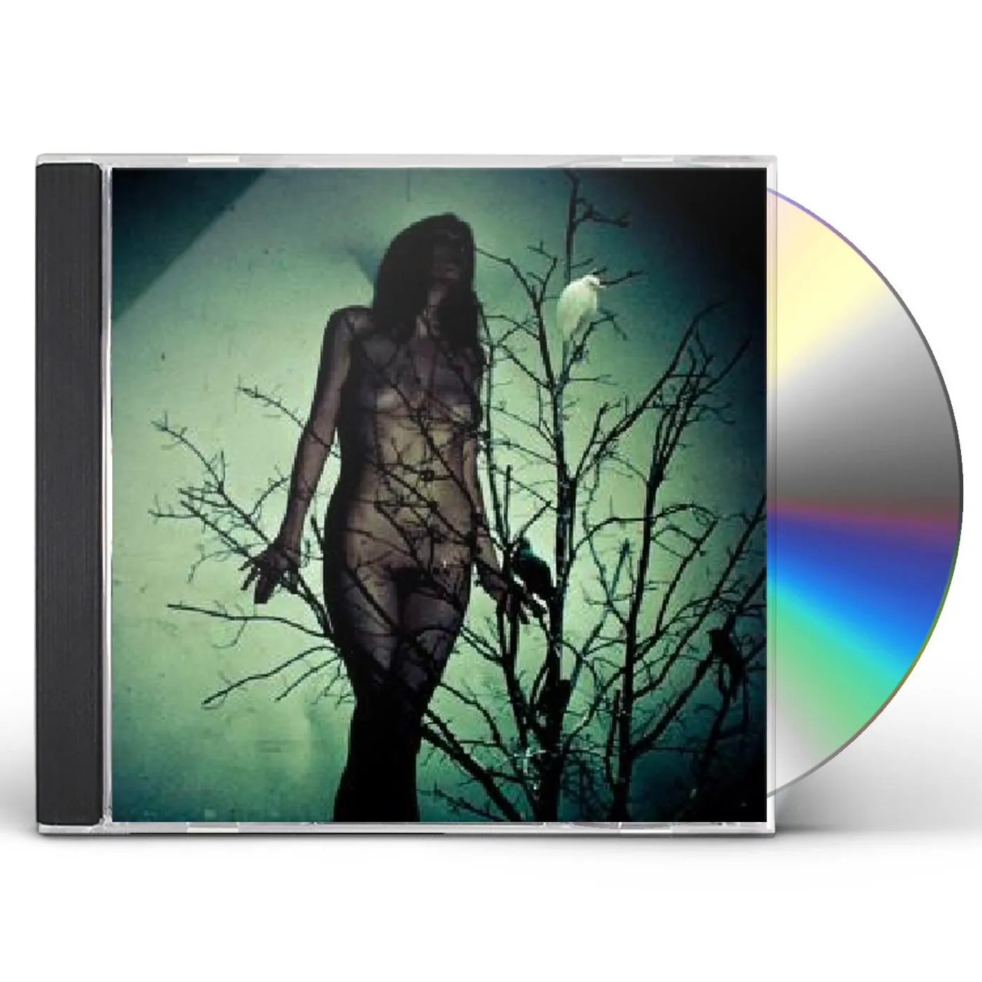 The Atlas Moth AN ACHE FOR THE DISTANCE CD