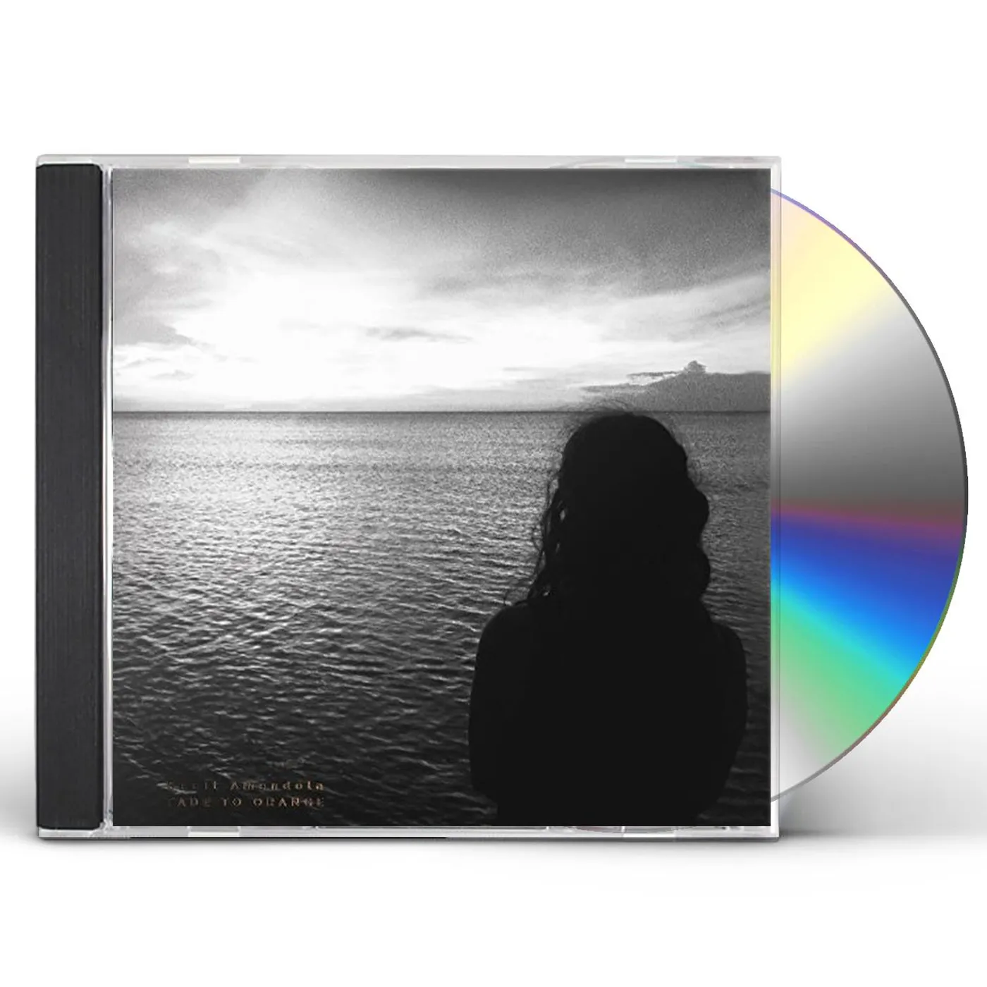 Scott Amendola FADE TO ORANGE CD