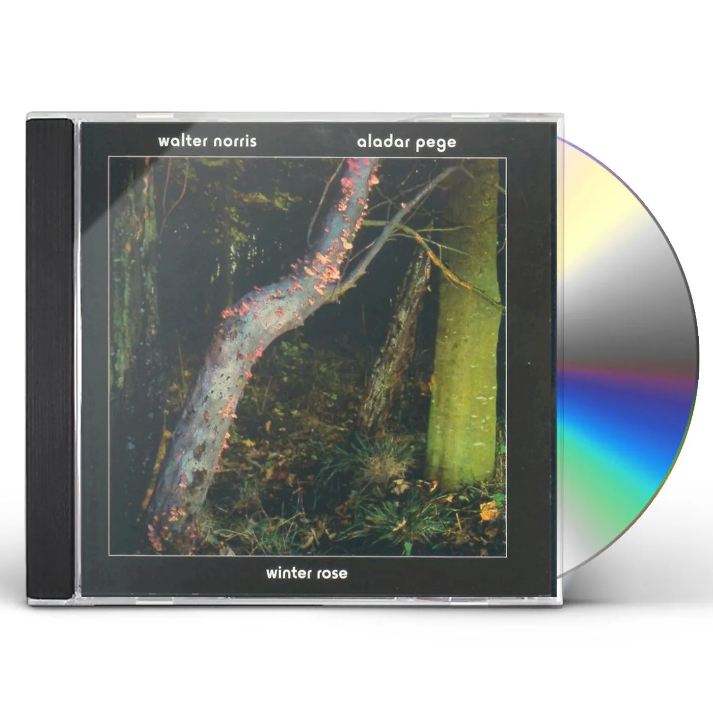 Walter Norris & Aladar Pege WINTER ROSE CD