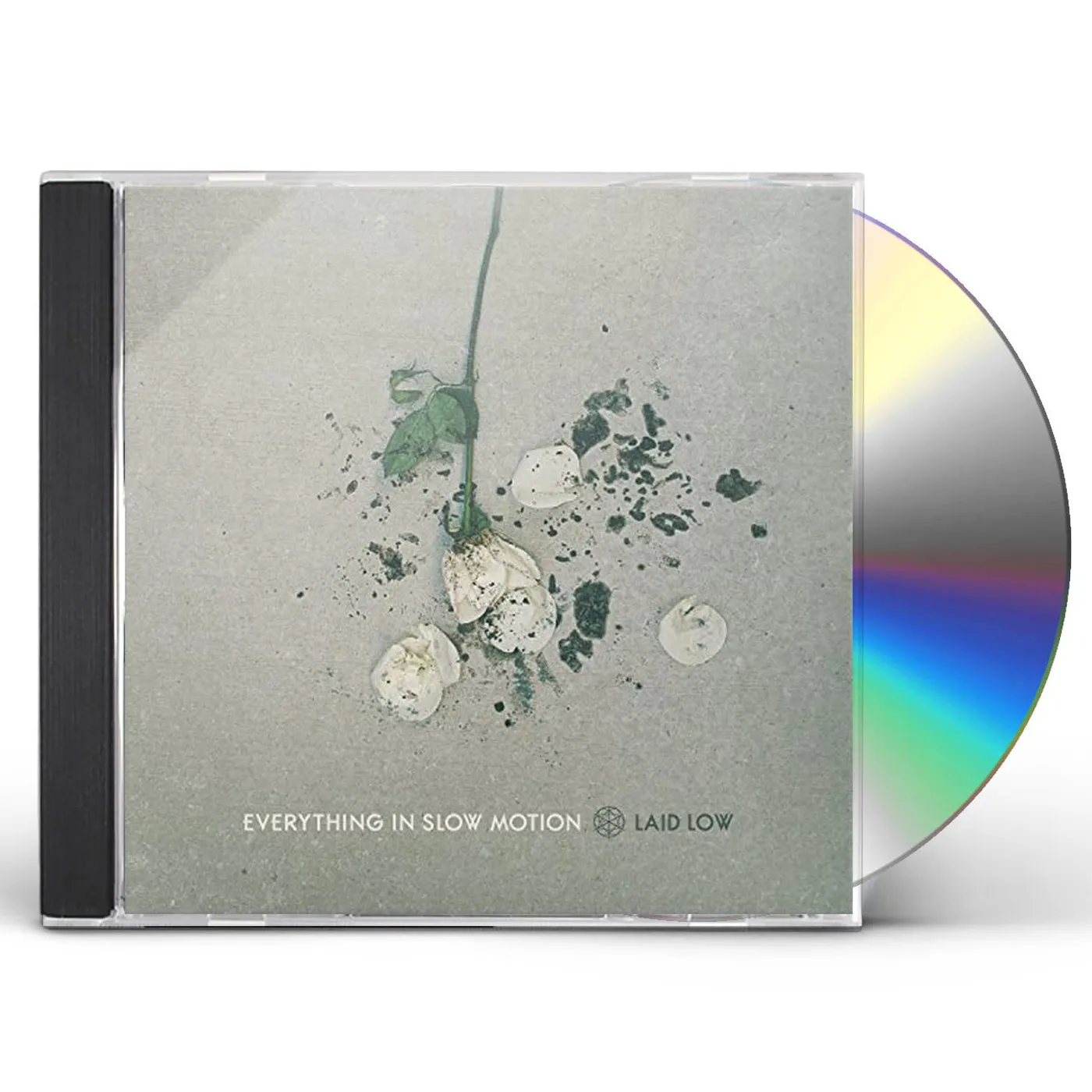 Everything In Slow Motion LAID LOW CD