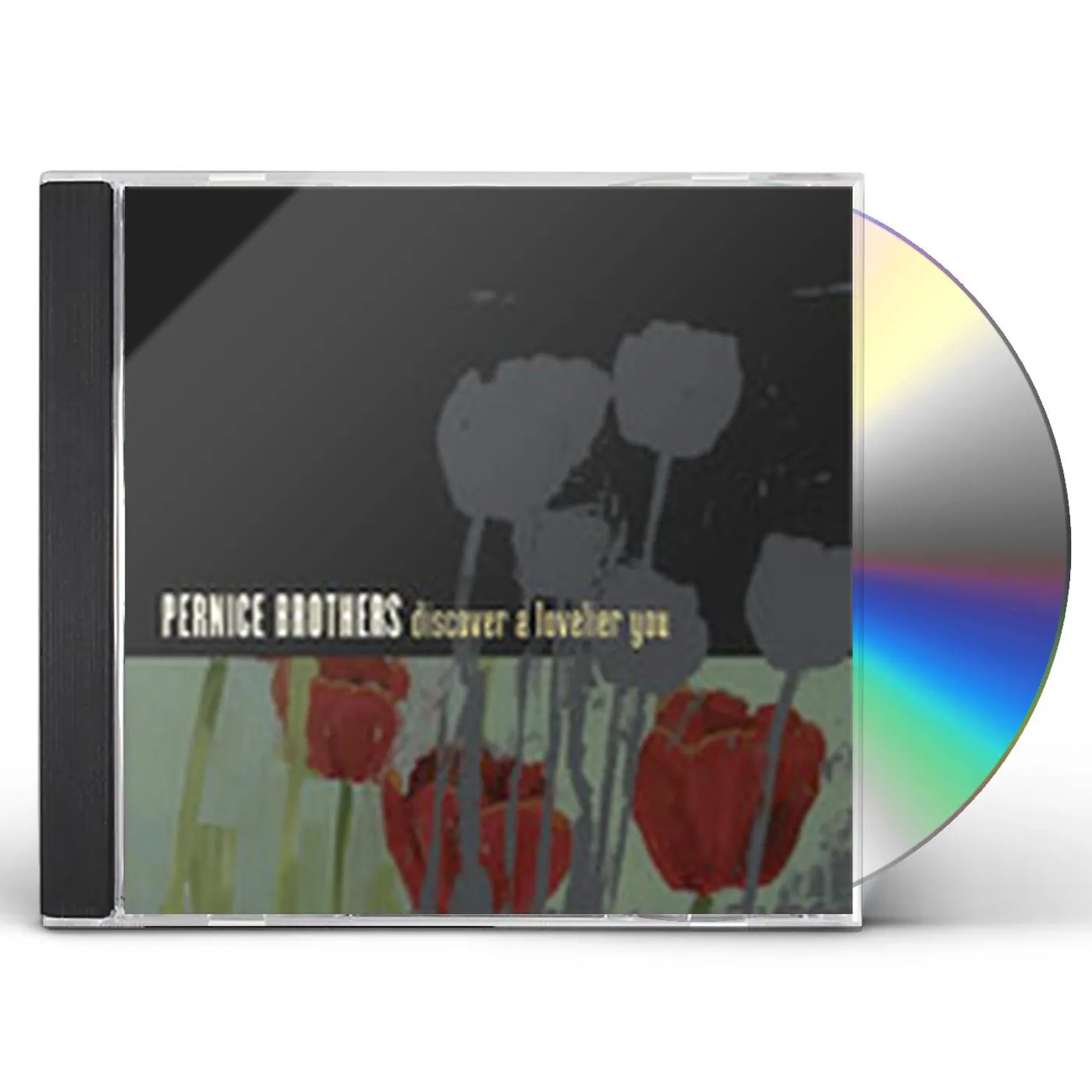 Pernice Brothers DISCOVER A LOVELIER YOU CD
