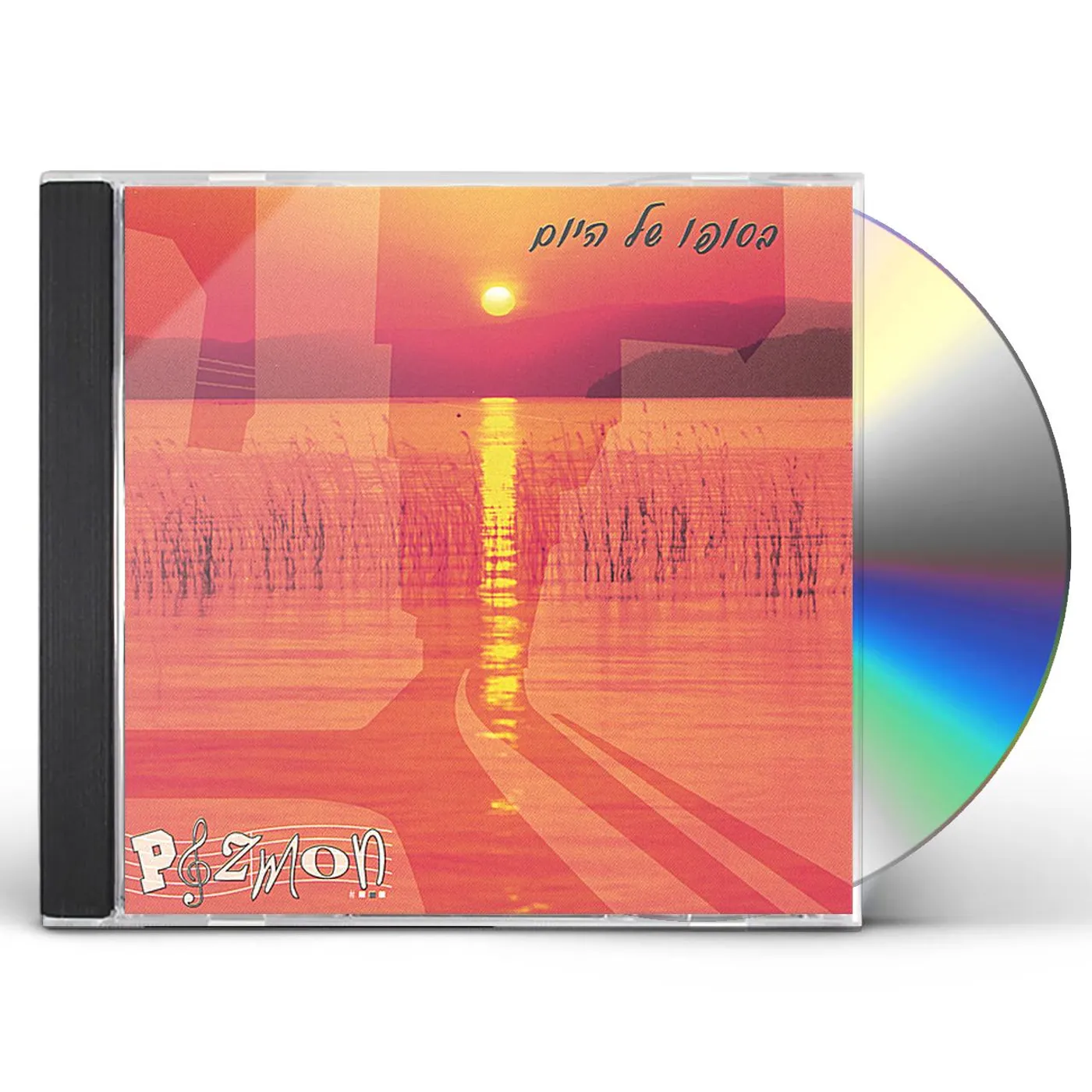 Pizmon AT THE END OF THE DAY CD