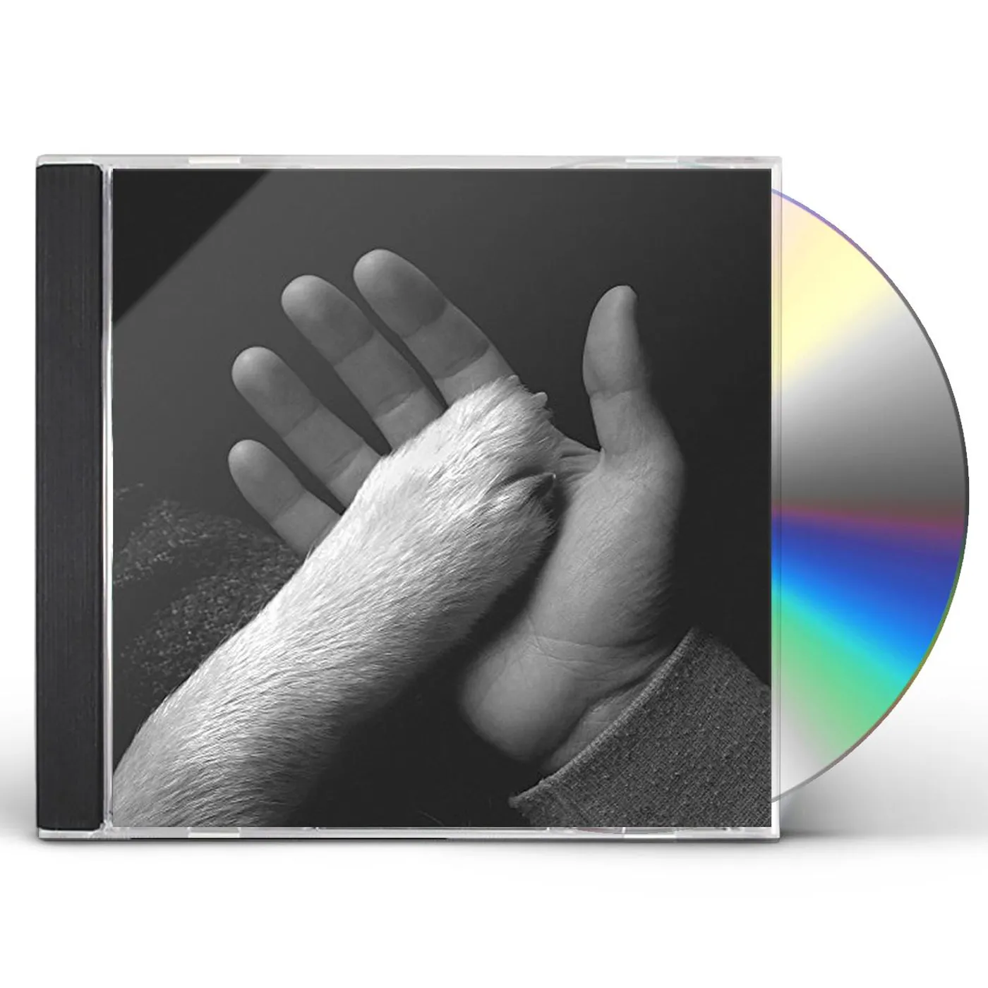 Jaws of Love. TASHA SITS CLOSE TO THE PIANO CD