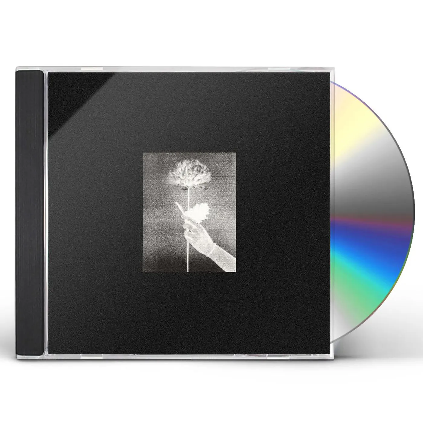 White Flowers Day By Day CD
