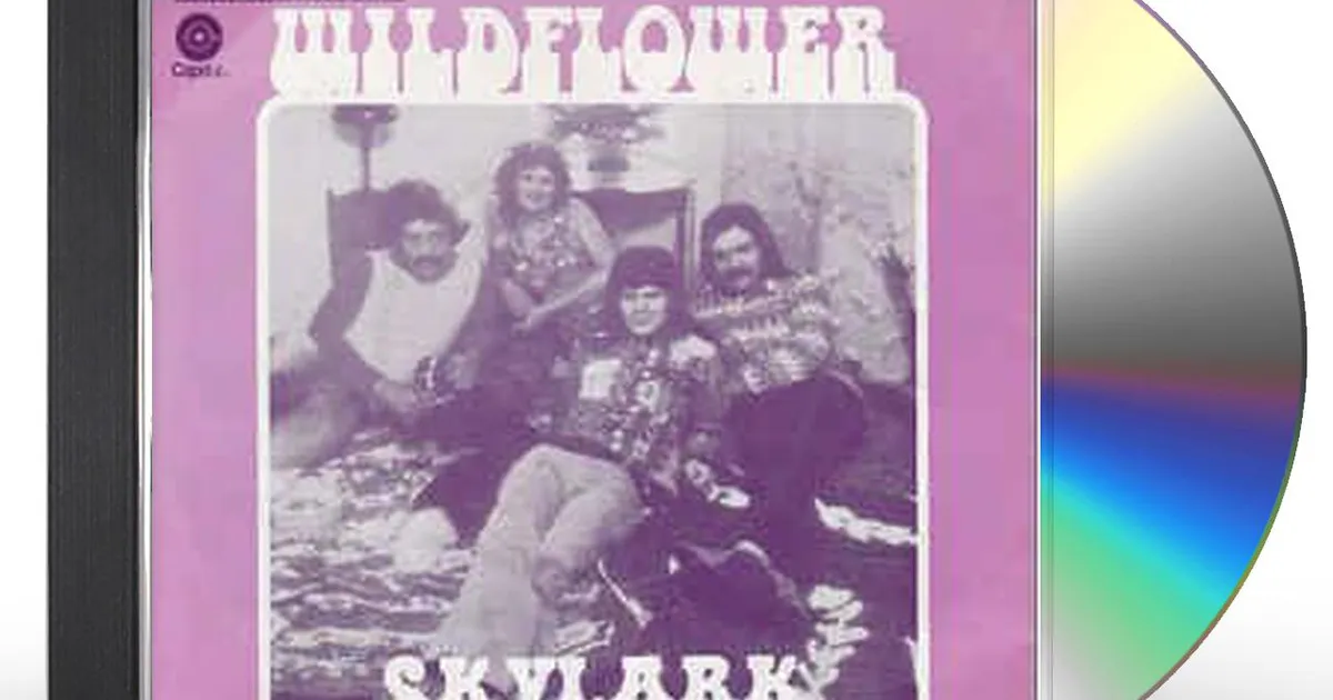 Skylark Wildflower CD David Foster 1996年 Skylark – Wildflower – CD (Album, Reissue), 1996 [r4294882