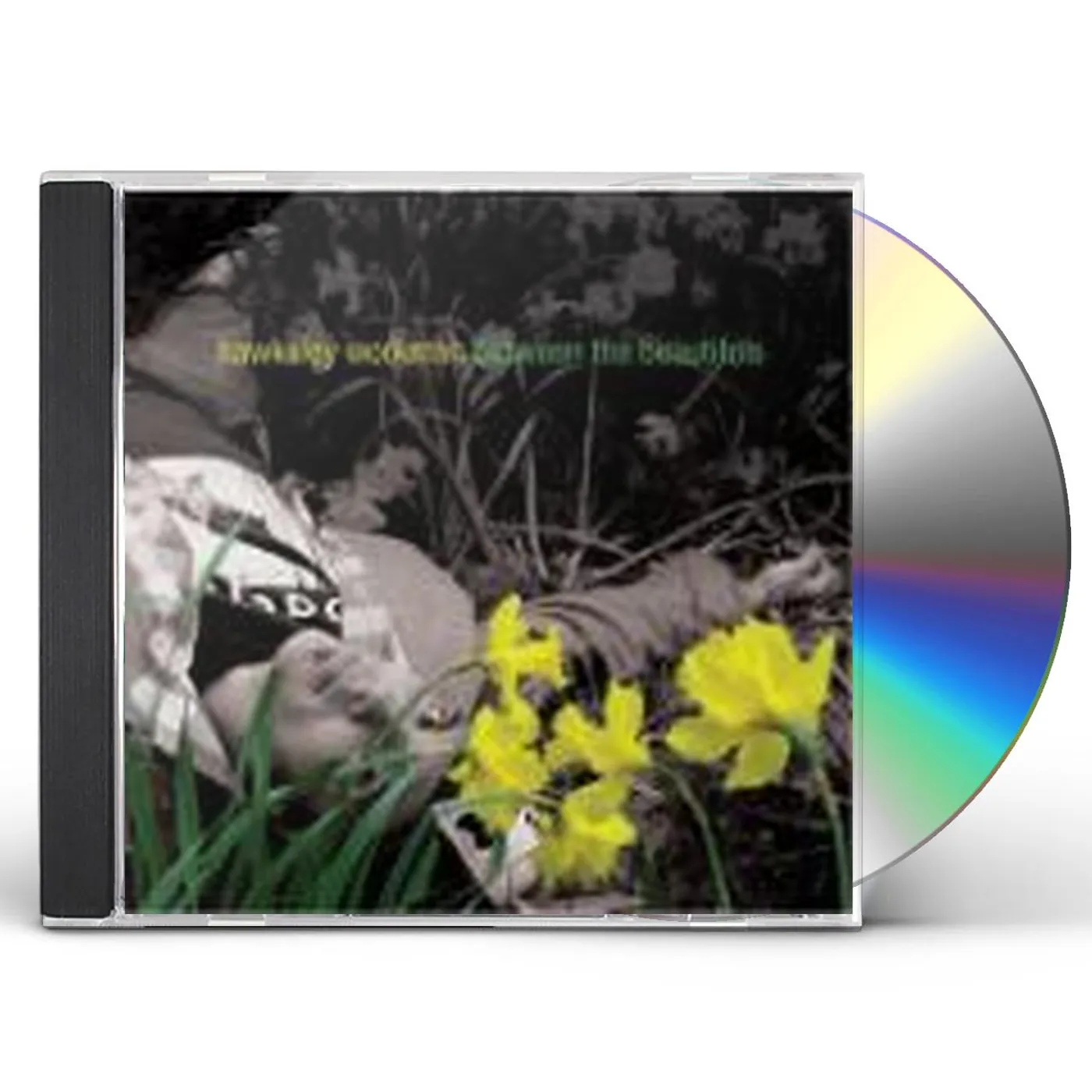 Hawksley Workman BETWEEN THE BEAUTIFULS CD
