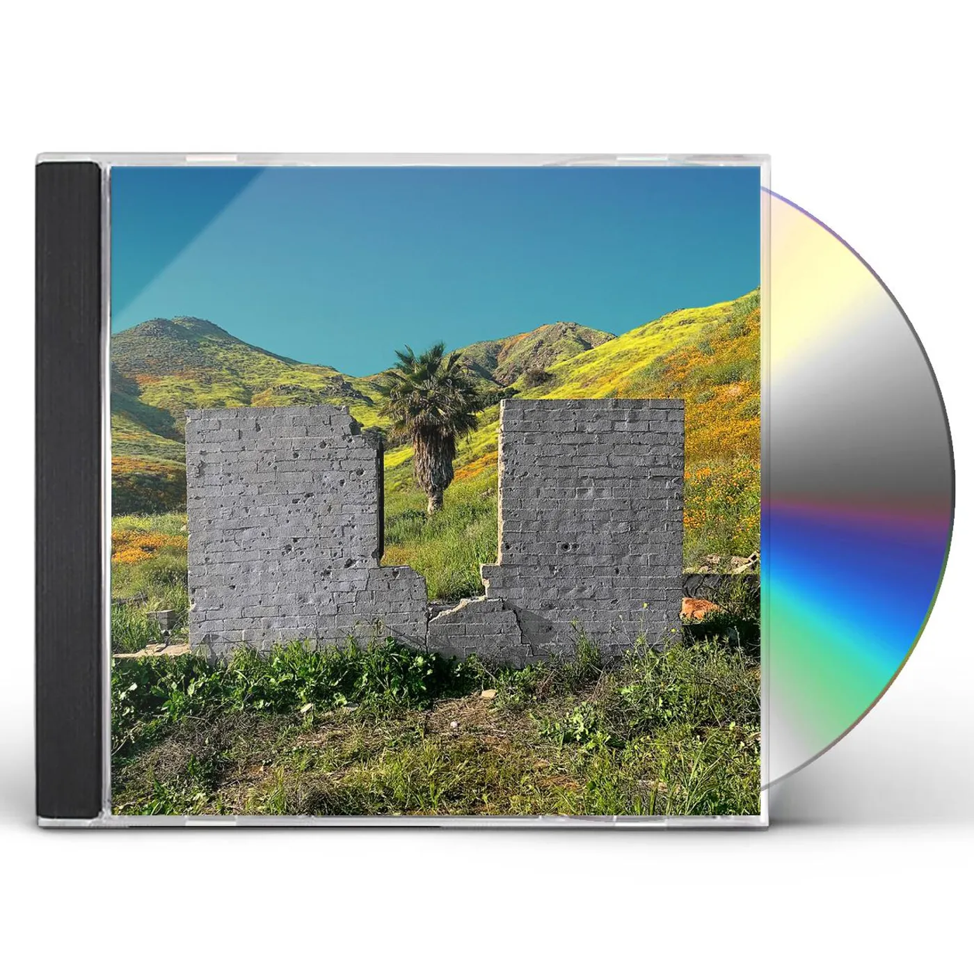 Shopping ALL OR NOTHING CD