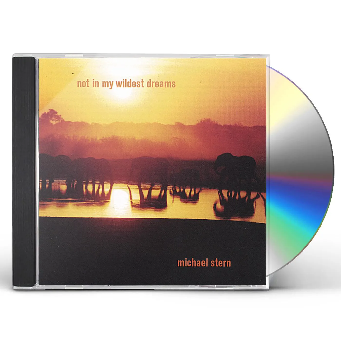 Michael Stern NOT IN MY WILDEST DREAMS CD