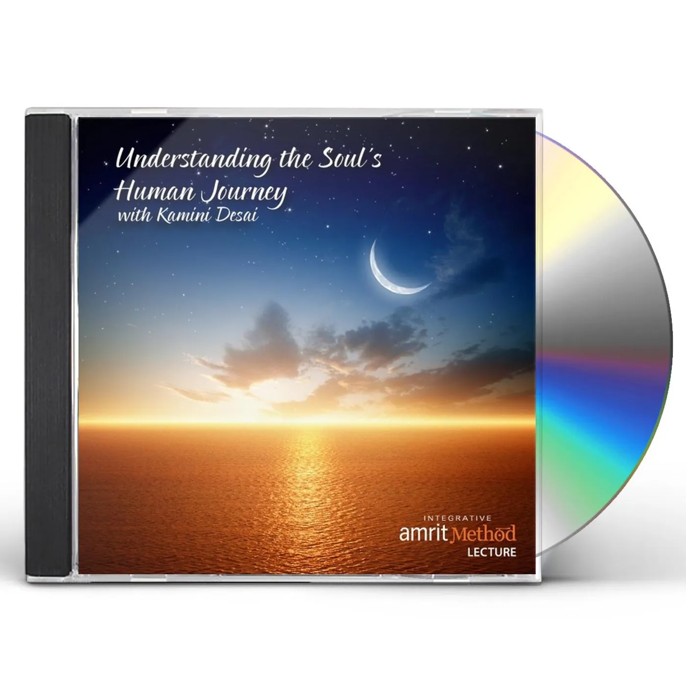 Kamini Desai UNDERSTANDING THE SOULS HUMAN JOURNEY CD