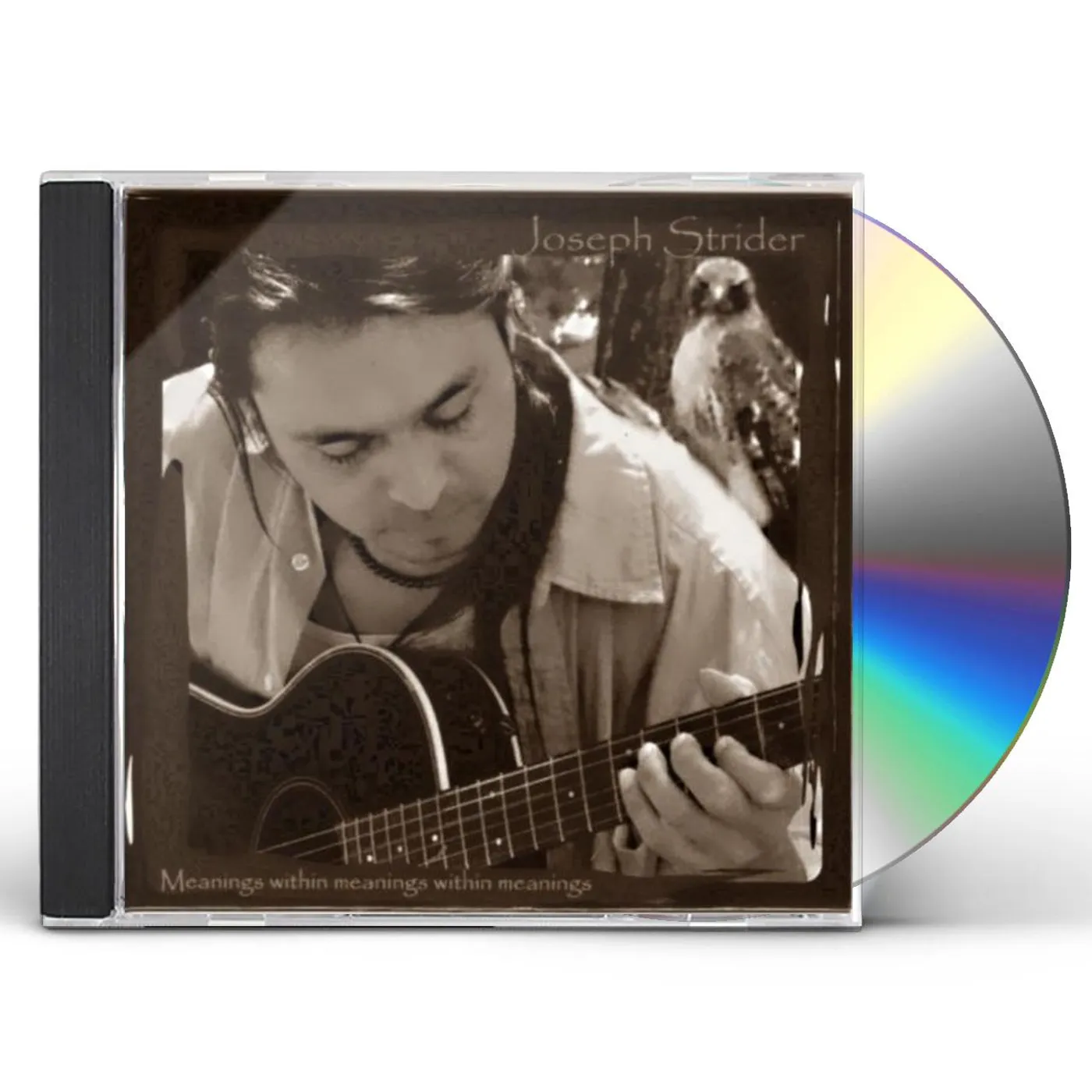 Joseph Strider MEANINGS WITHIN MEANINGS WITHIN MEANINGS CD