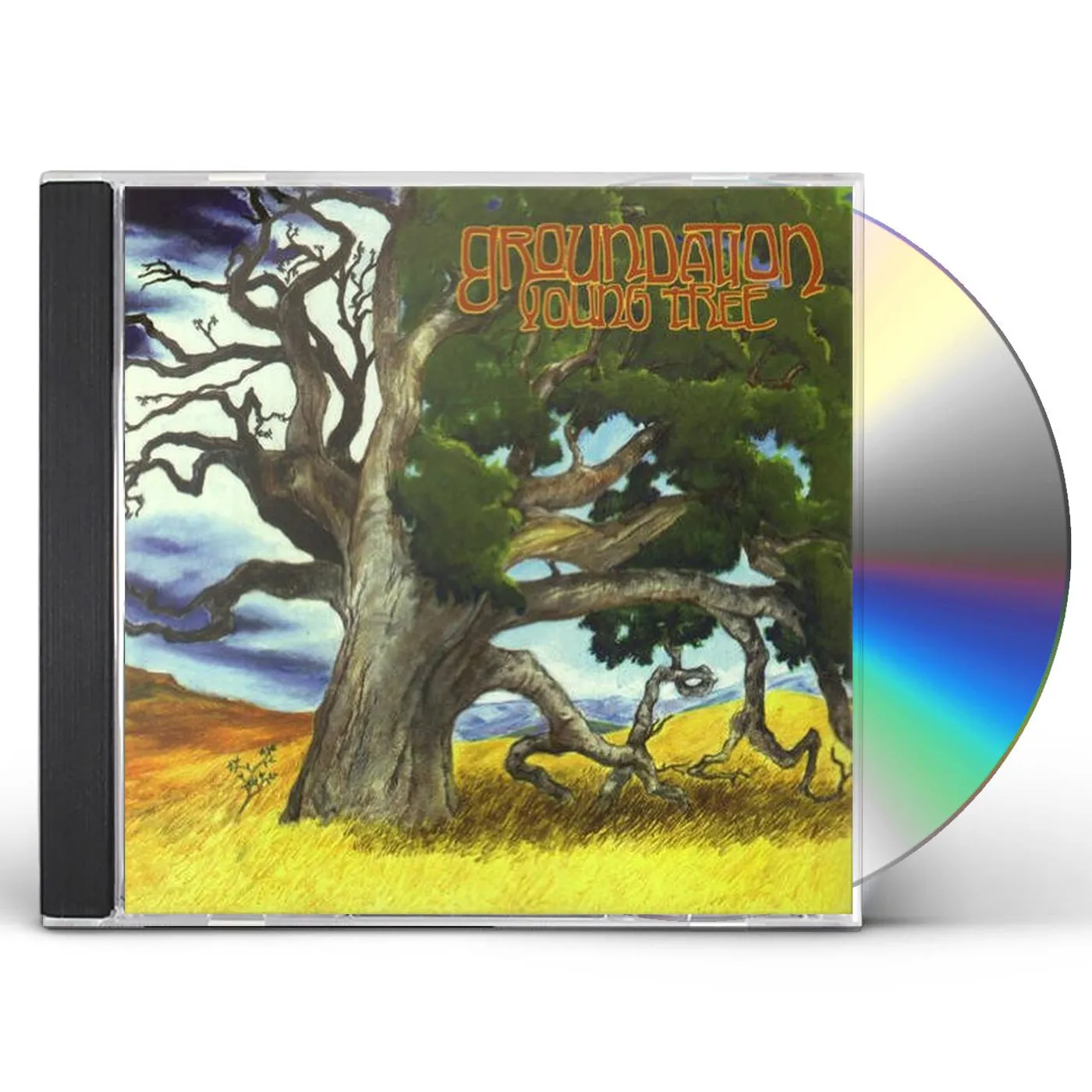 Groundation YOUNG TREE CD