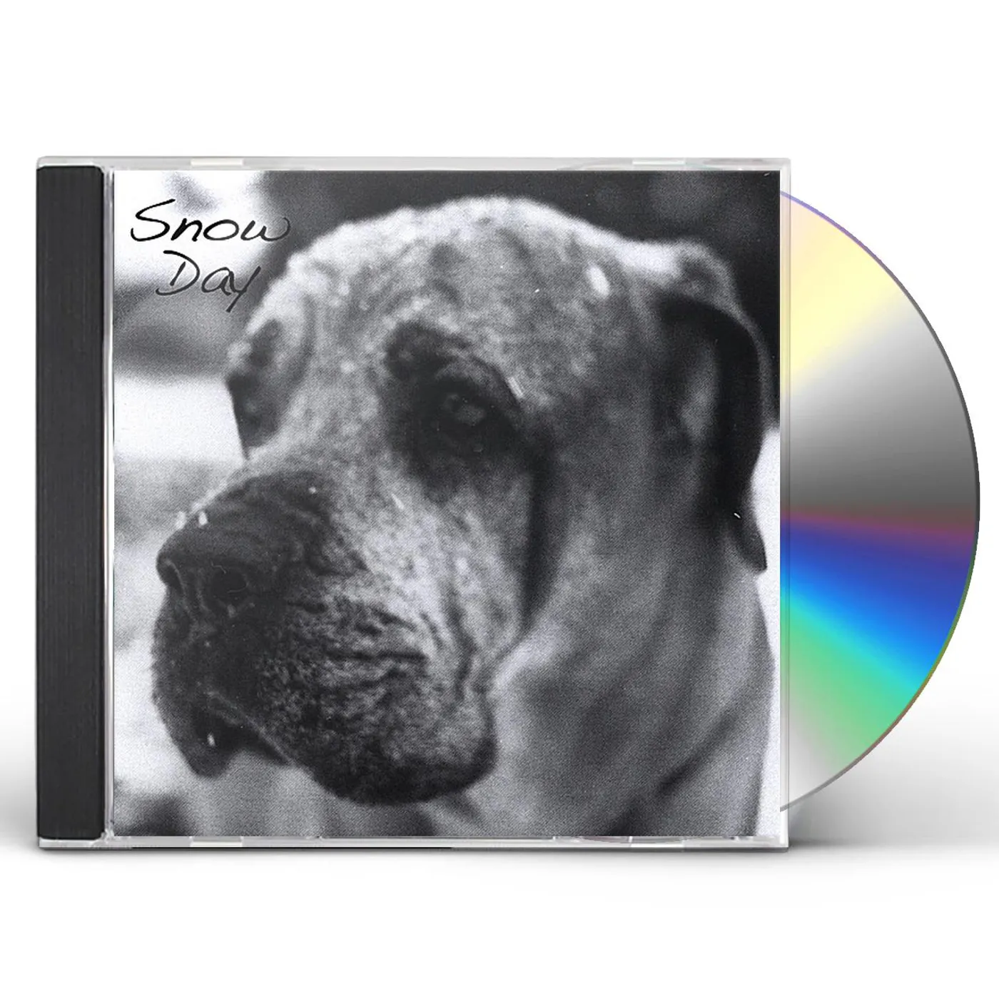 Heidi Winzinger SNOW DAY CD