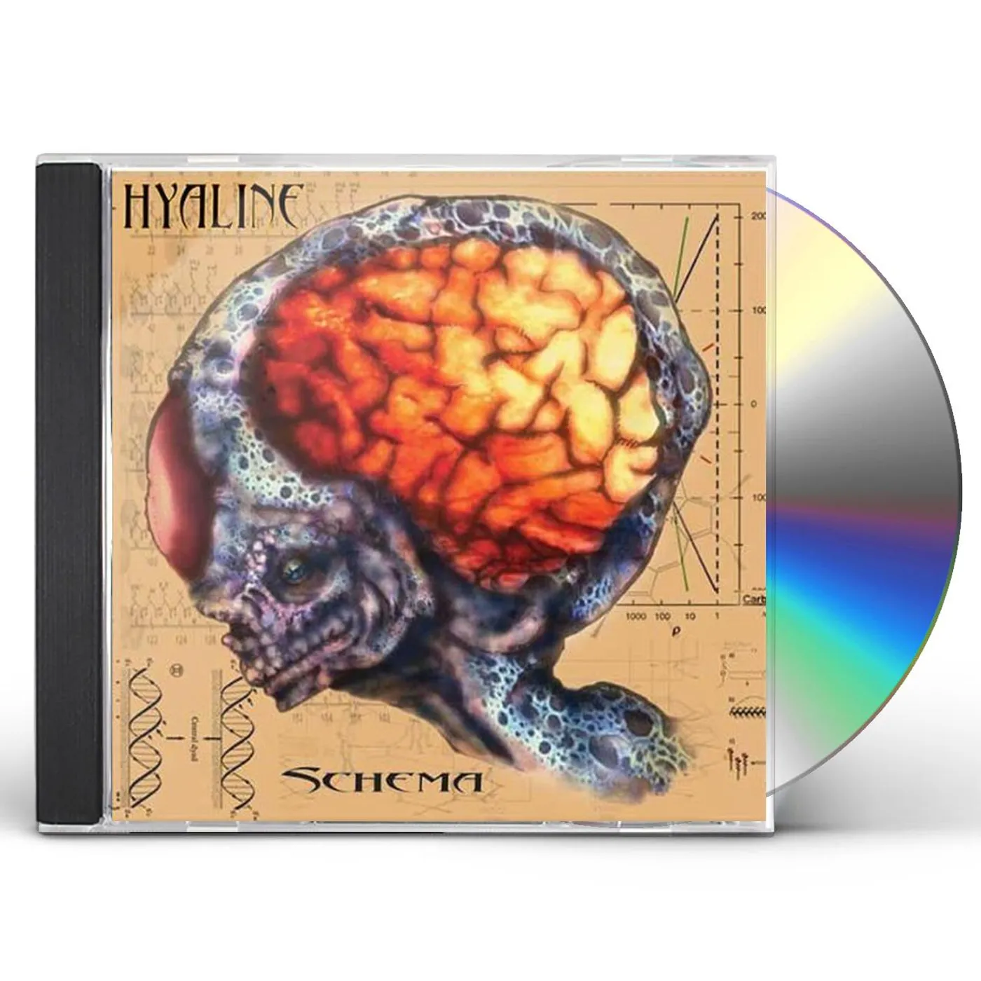 Hyaline NEOGENE CD